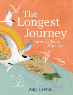 The Longest Journey : An Arctic Tern's Migration