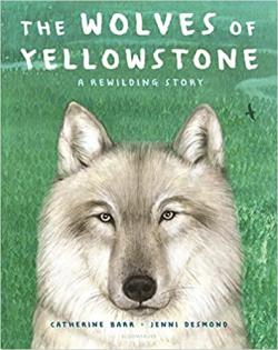 The Wolves Of Yellowstone A Rewilding Story