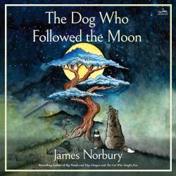 The Dog Who Followed The Moon