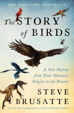The Story Of Birds