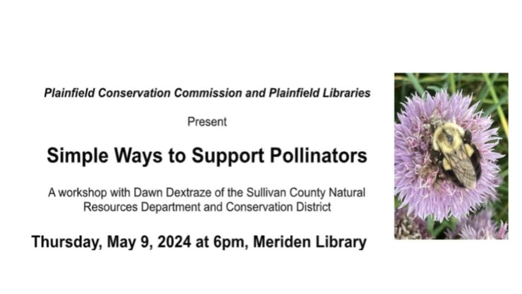 Simple Ways to Support Pollinators